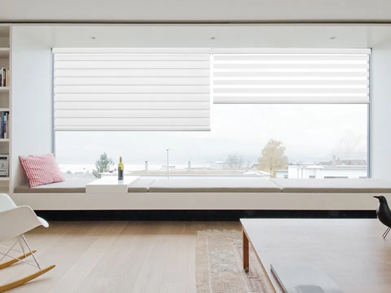 Zebra Blinds